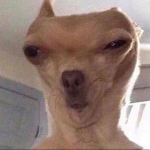 Meet your Posher, Princess